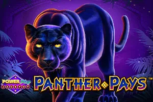Panther Pays PowerPlay Jackpot - BETPLAY138