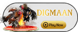 Digman - BETPLAY138